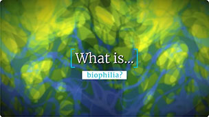 What is biophilia?