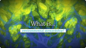 What is environmental stewardship?
